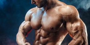 근육 비대 또는 힘은 어디에서 오는가?